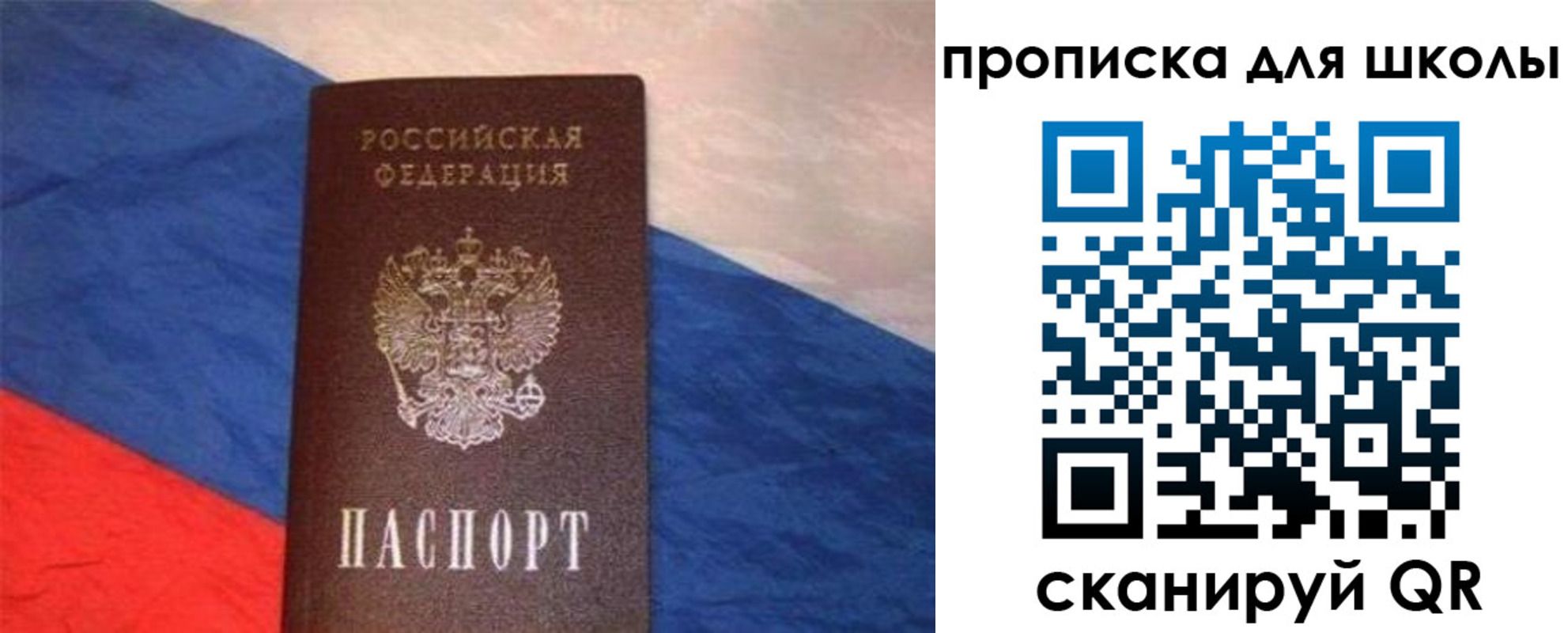 прописка поиск в Почепе